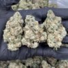 Blue Lobster Weed Strain
