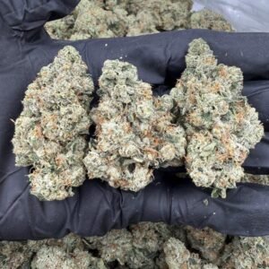 Blue Lobster Weed Strain