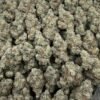 Bubble Gum Weed Strain