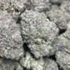 AK-47 Weed Strain